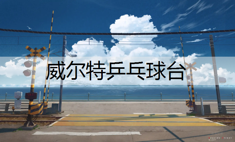 威尔特乒乓球台