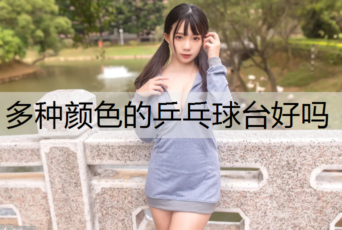 多种颜色的乒乓球台好吗