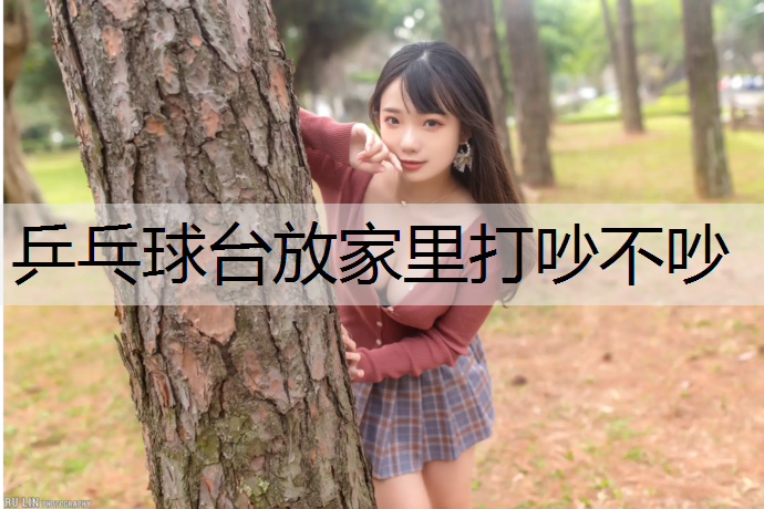 乒乓球台放家里打吵不吵