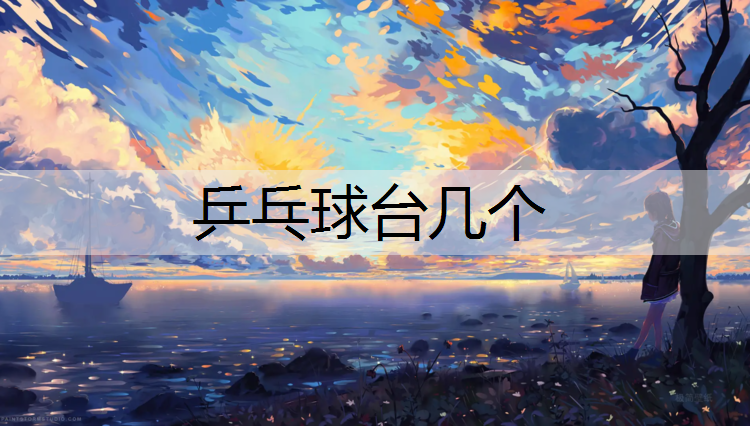 乒乓球台几个