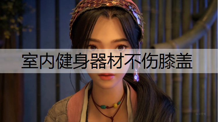 室内健身器材不伤膝盖
