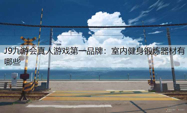 J9九游会真人游戏第一品牌：室内健身锻炼器材有哪些