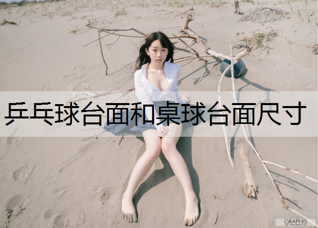 乒乓球台面和桌球台面尺寸