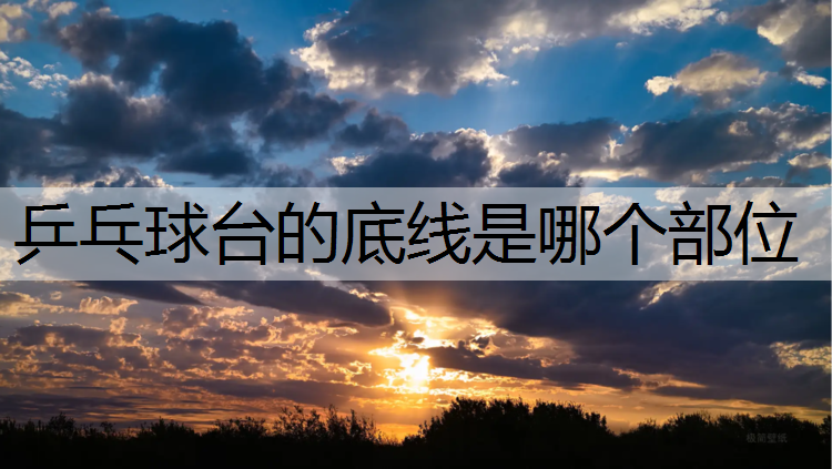乒乓球台的底线是哪个部位