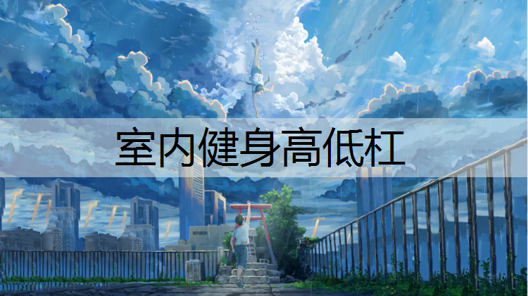 室内健身高低杠