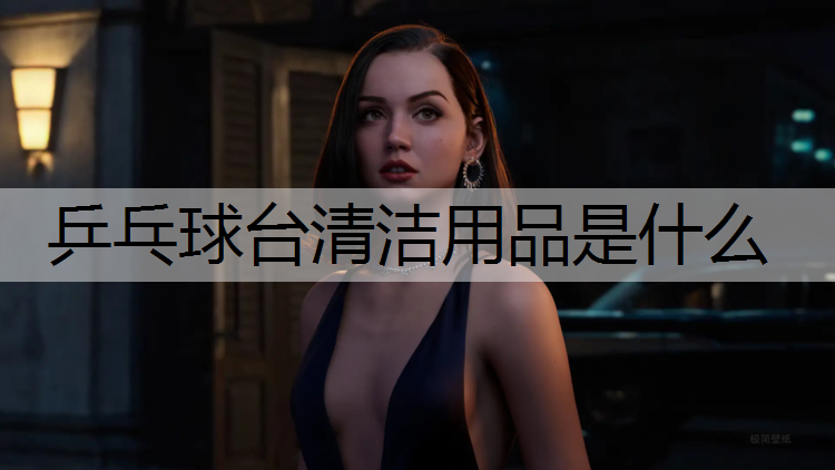 乒乓球台清洁用品是什么