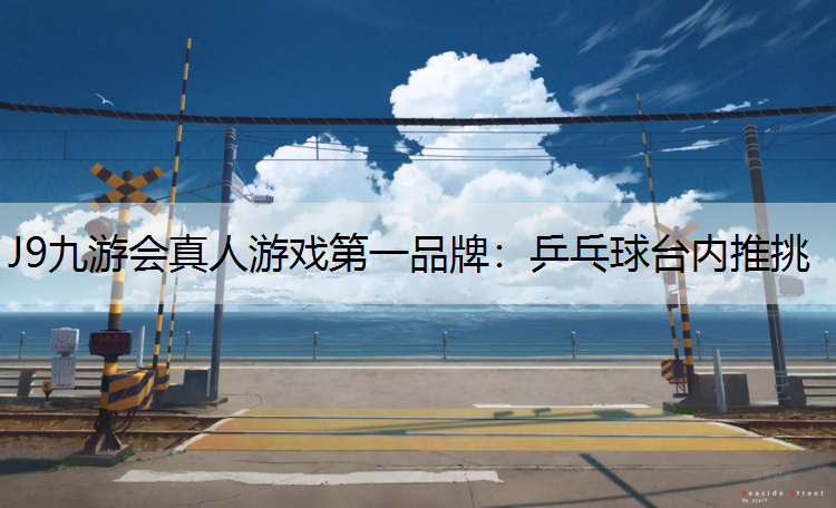 乒乓球台内推挑