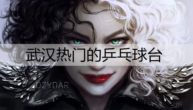 武汉热门的乒乓球台